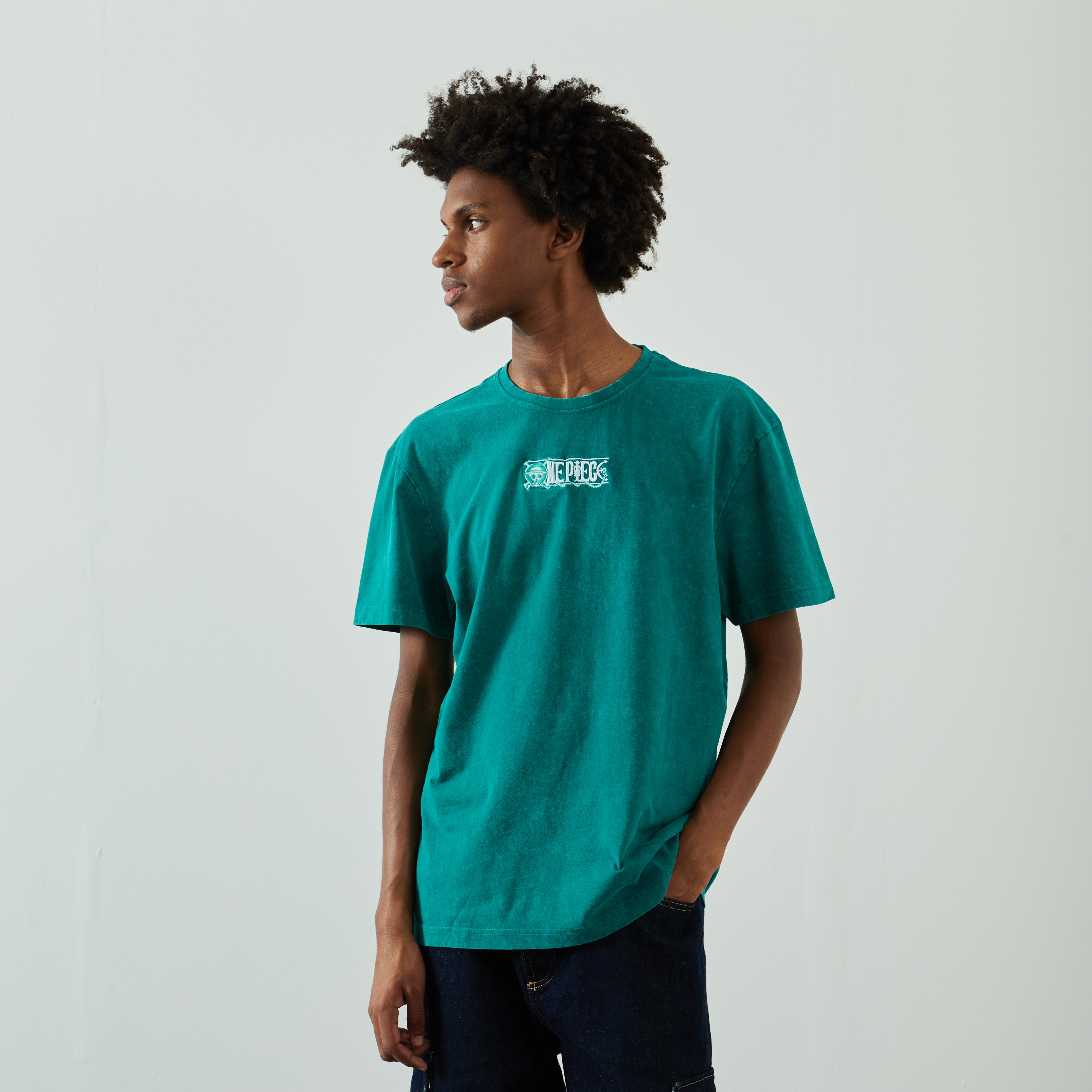 Tee Shirt One Piece Embro Washed Vert