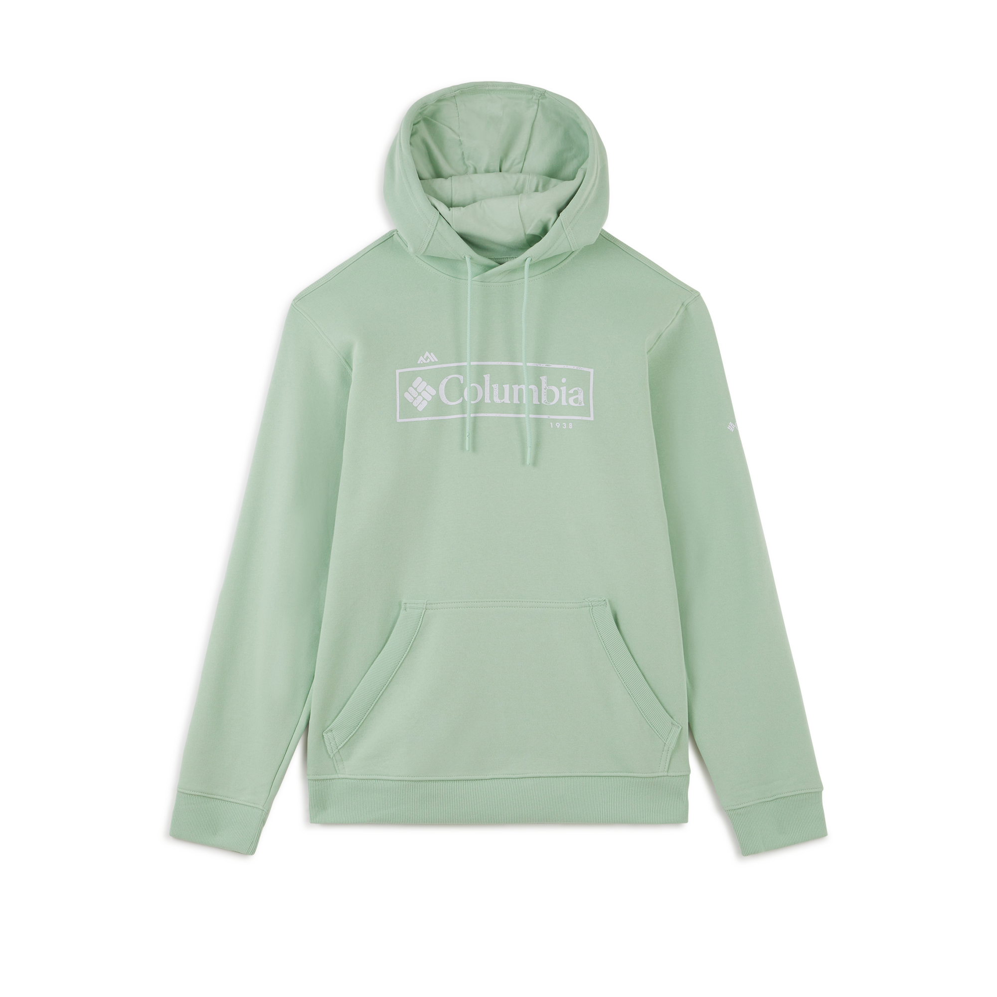 Hoodie Csc Basic Logo Vert