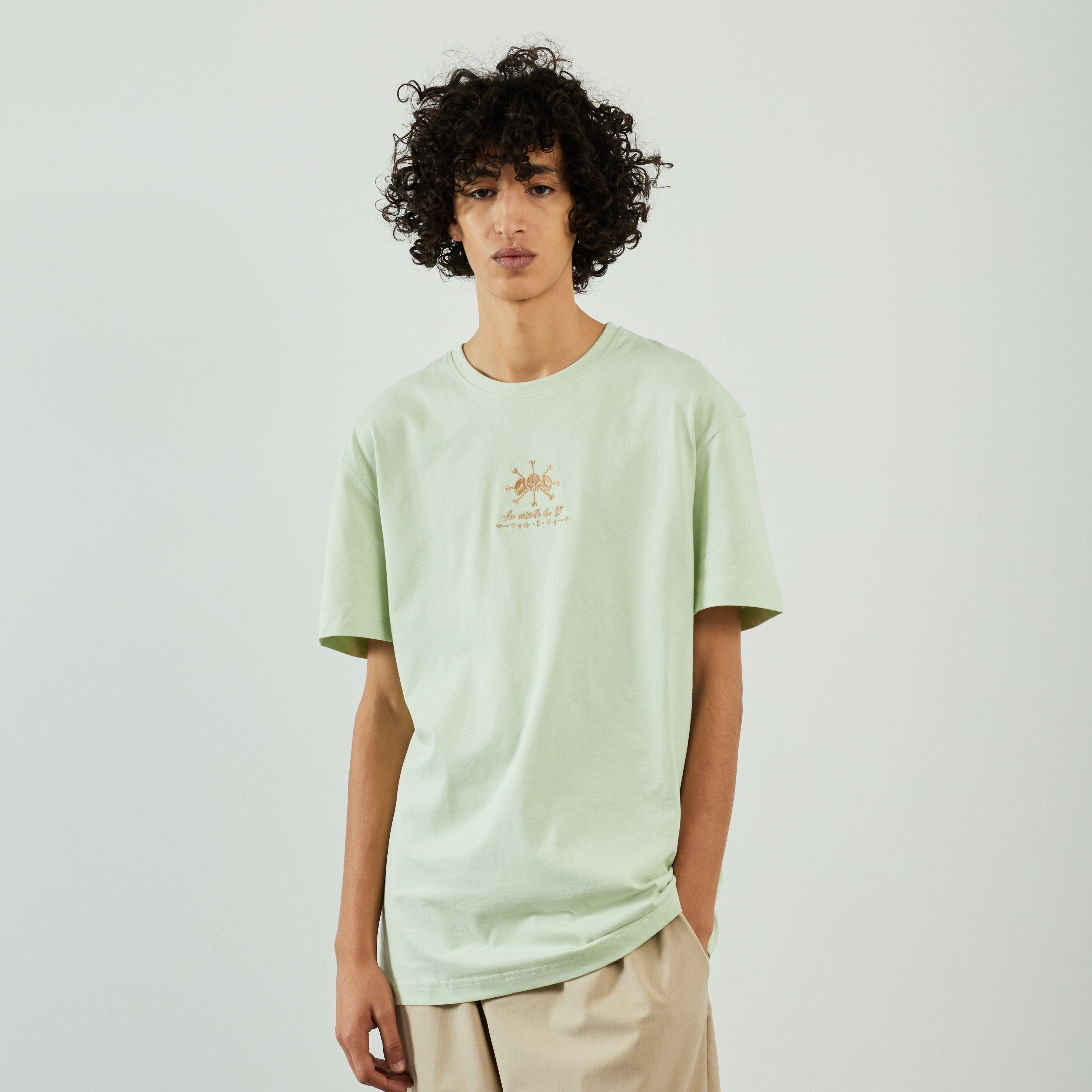Tee Shirt D. Teach Vert